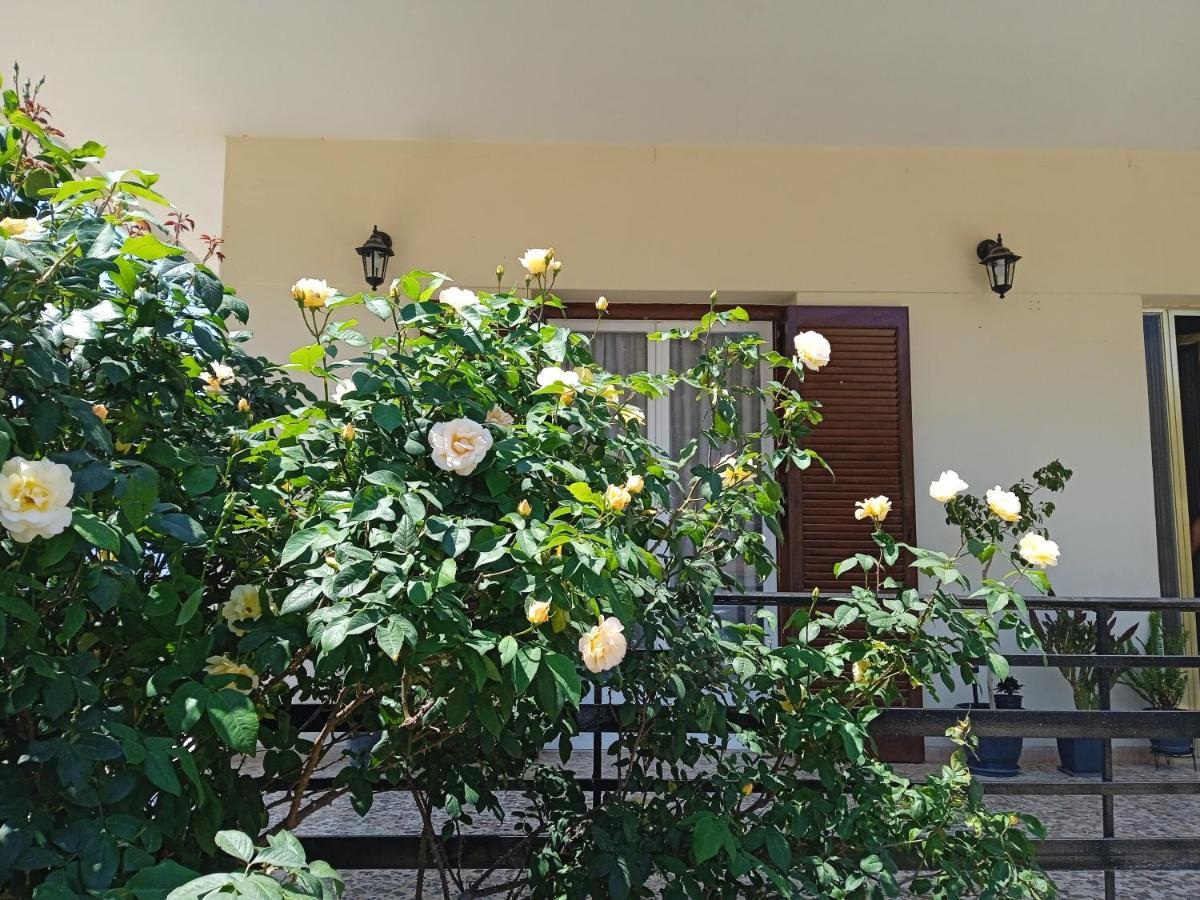 Serene Country House نافبليو المظهر الخارجي الصورة